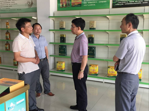 新利luck18,油茶莳植生产加工销售,植物油莳植生产加工销售