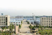 新利luck18,油茶莳植生产加工销售,植物油莳植生产加工销售