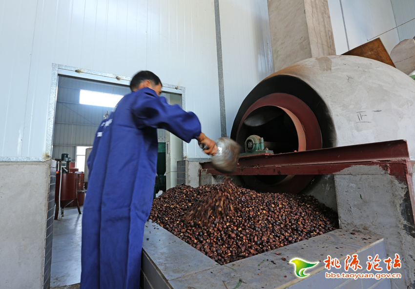 新利luck18,油茶莳植生产加工销售,植物油莳植生产加工销售