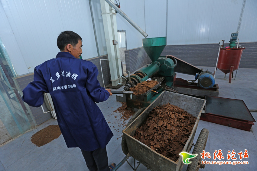 新利luck18,油茶莳植生产加工销售,植物油莳植生产加工销售