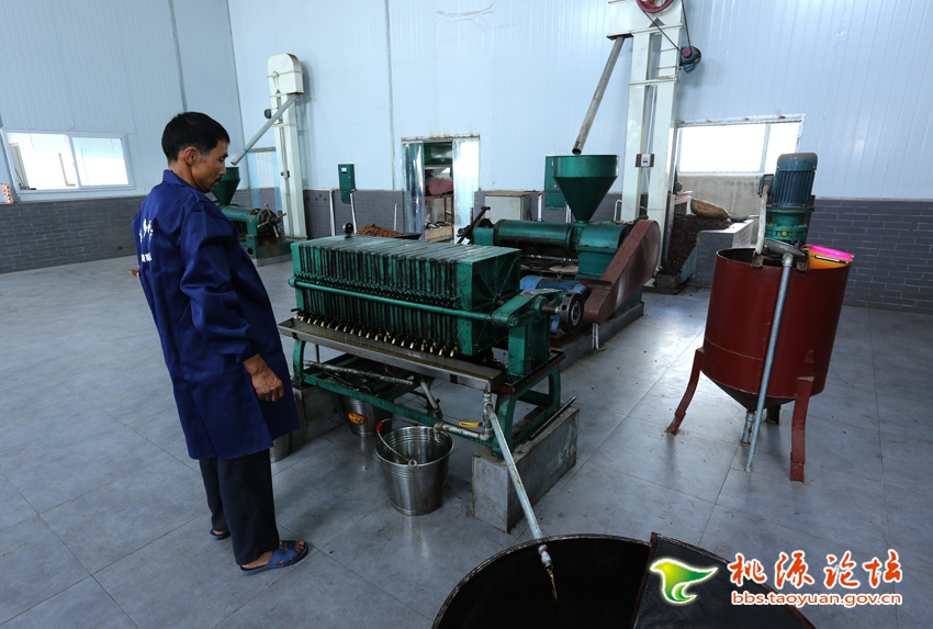 新利luck18,油茶莳植生产加工销售,植物油莳植生产加工销售