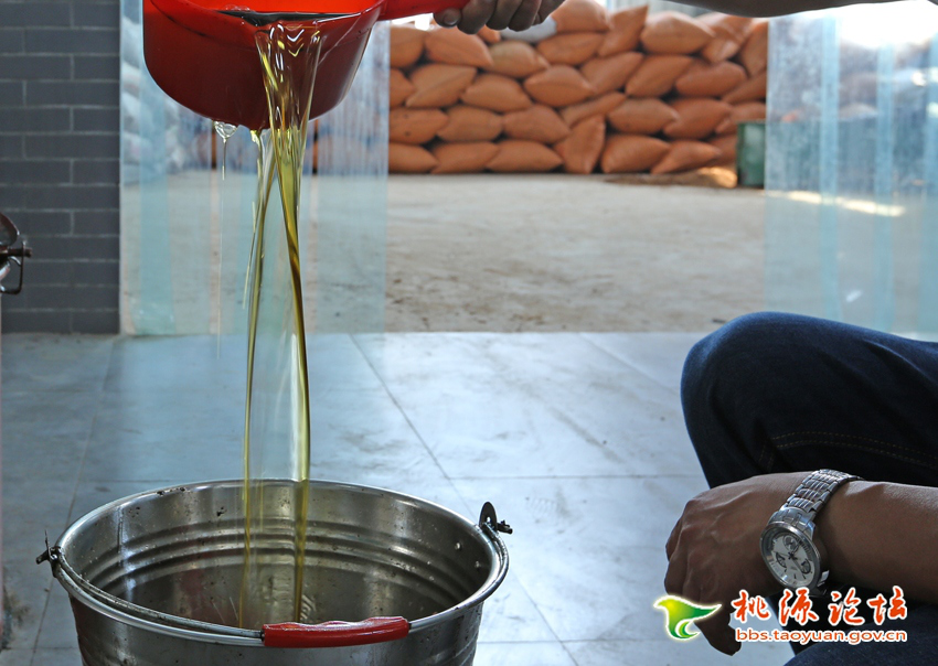 新利luck18,油茶莳植生产加工销售,植物油莳植生产加工销售