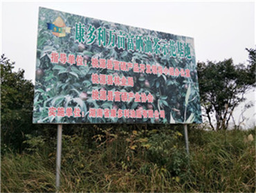 新利luck18,油茶莳植生产加工销售,植物油莳植生产加工销售